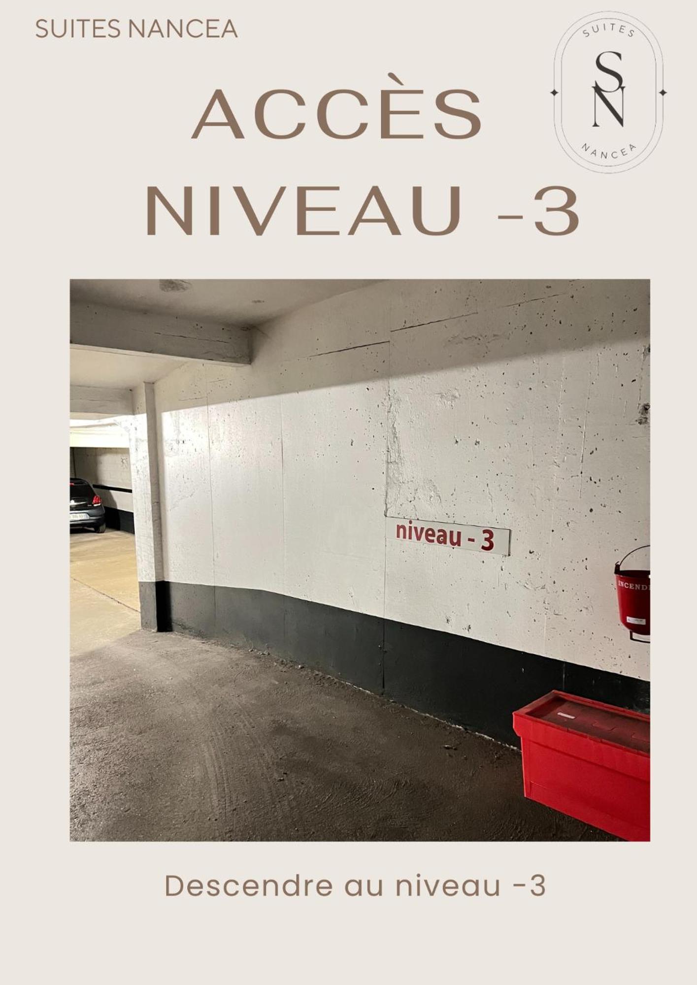 Vue Sur Le Palais - Nancy Gare Congres - Parking - T3 Appartement Buitenkant foto